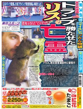 表紙画像