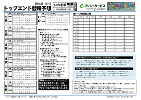 電子版
