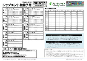 電子版