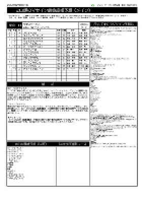 電子版